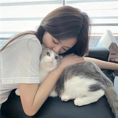 博斯:传承第二季