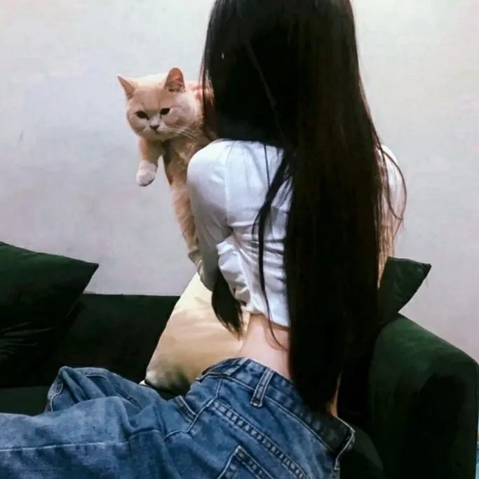 钻石王牌第二季